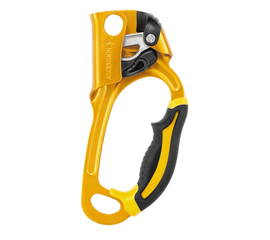 PETZL ASCENSION