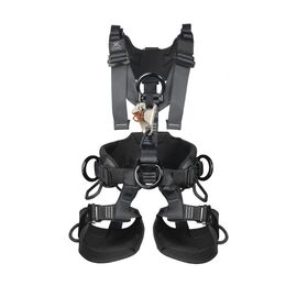 CMC ATOM™ ACCESS HARNESS
