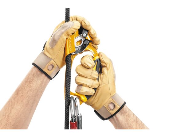 PETZL ASCENSION