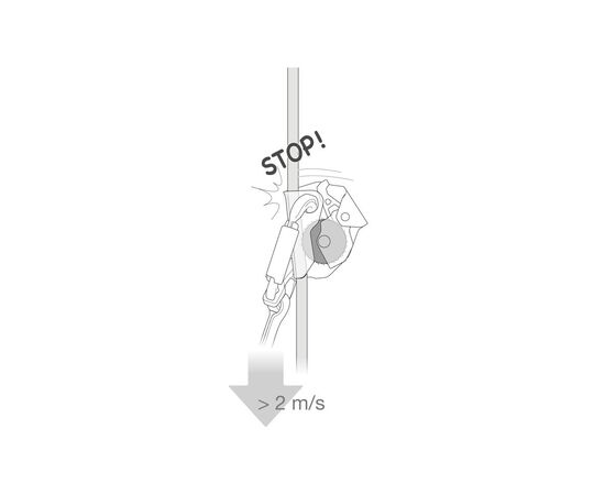 PETZL ASAP®