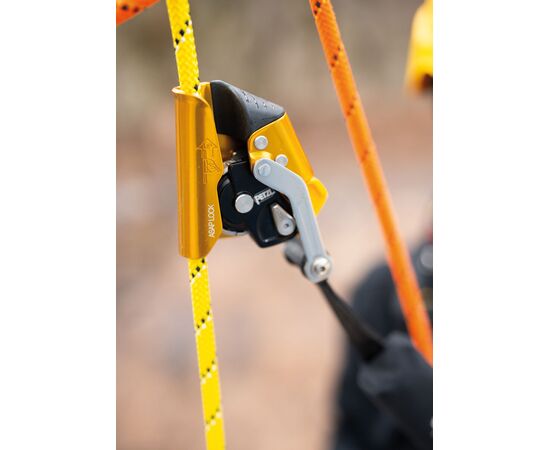 PETZL ASAP® LOCK