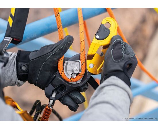 PETZL RIG®
