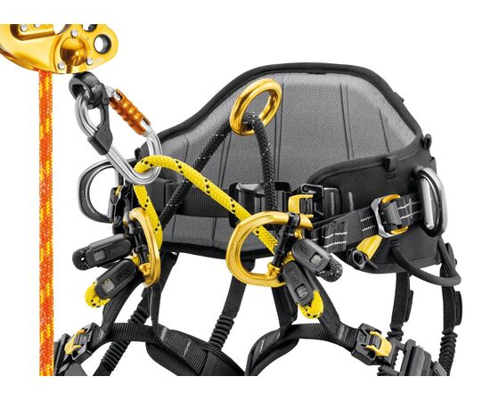 PETZL SEQUOIA® PLUS Baumpflegegurt
