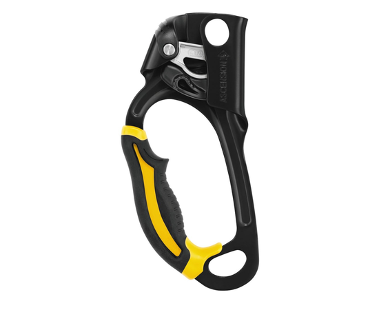 PETZL ASCENSION
