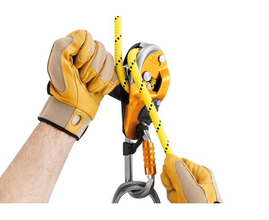 PETZL RIG - ALM